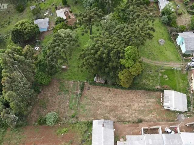 Terreno / Lote para Venda em Palmas/PR Alto da Glória