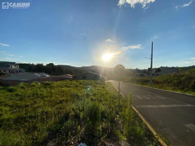 Terreno / Lote para Venda em Palmas/PR Caldeiras