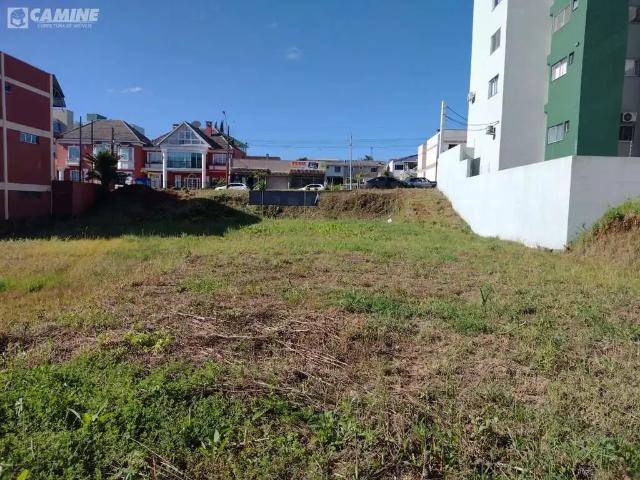 Terreno / Lote para Venda em Palmas/PR Centro