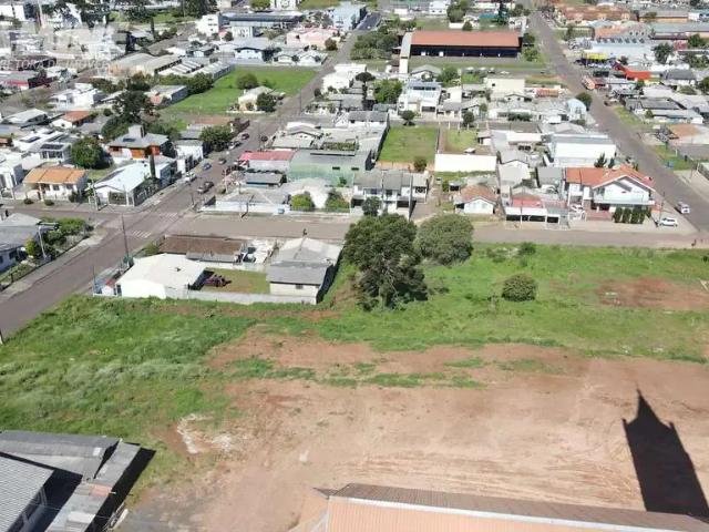 Terreno / Lote para Venda em Palmas/PR Divino