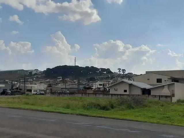 Terreno / Lote para Venda em Palmas/PR Divino