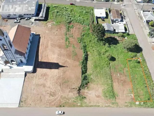Terreno / Lote para Venda em Palmas/PR Divino