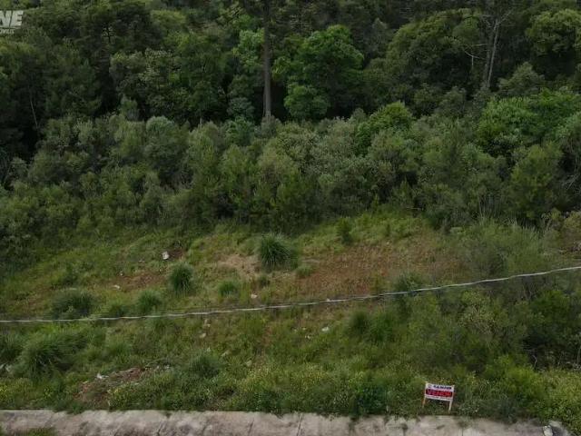 Terreno / Lote para Venda em Palmas/PR Klubegi