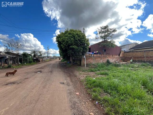 Terreno / Lote para Venda em Palmas/PR Lagoão
