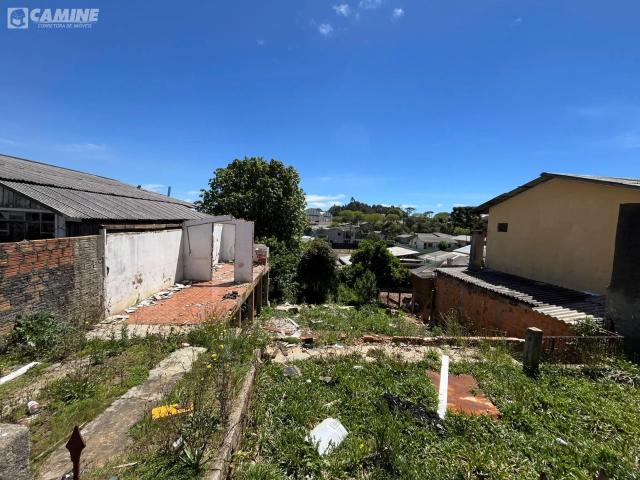 Terreno / Lote para Venda em Palmas/PR Santuário