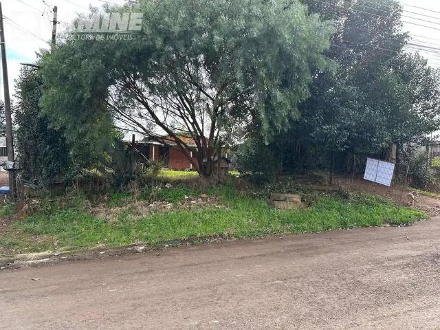 Terreno / Lote para Venda em Palmas/PR Serrinha