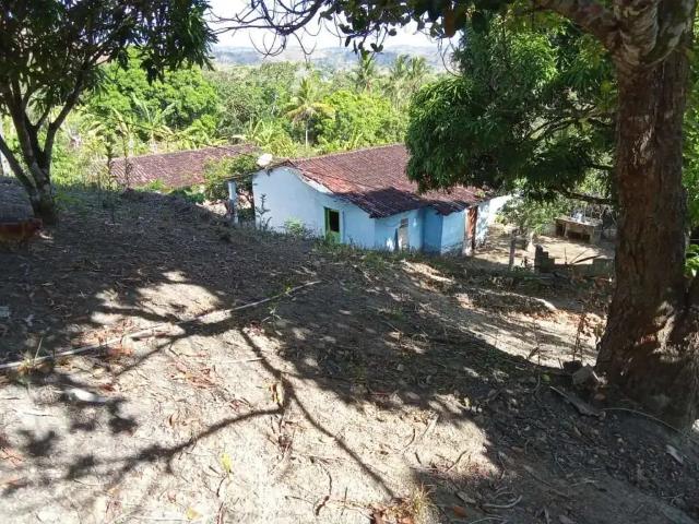 Terreno / Lote para Venda em Palmeira dos Índios/AL Centro