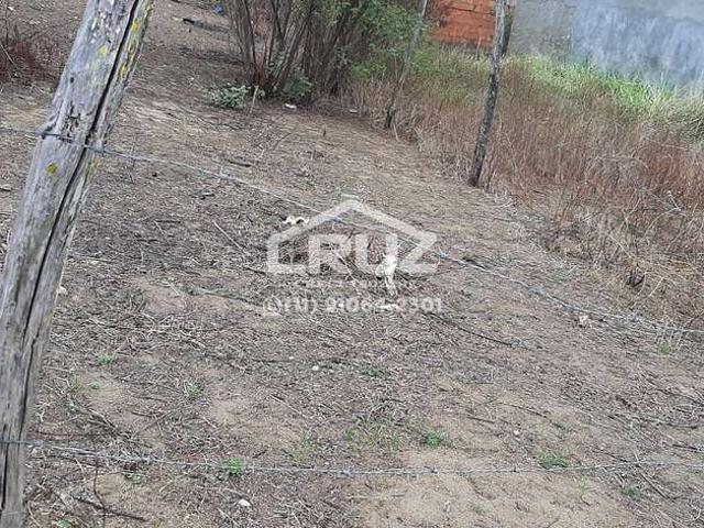 Terreno / Lote para Venda em Palmeira dos Índios/AL Graciliano Ramos