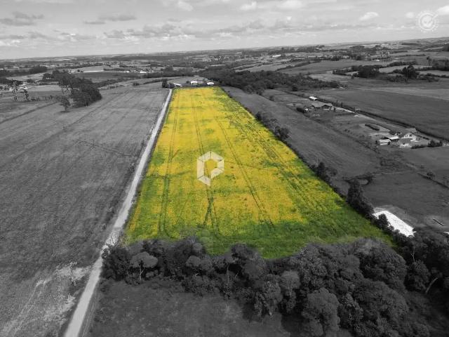 Terreno / Lote para Venda em Palmeira/PR Colonia Witmarsum