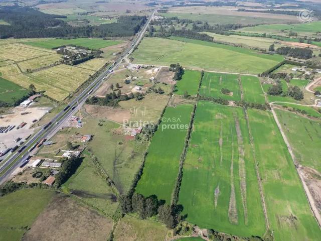 Terreno / Lote para Venda em Palmeira/PR Colonia Witmarsum
