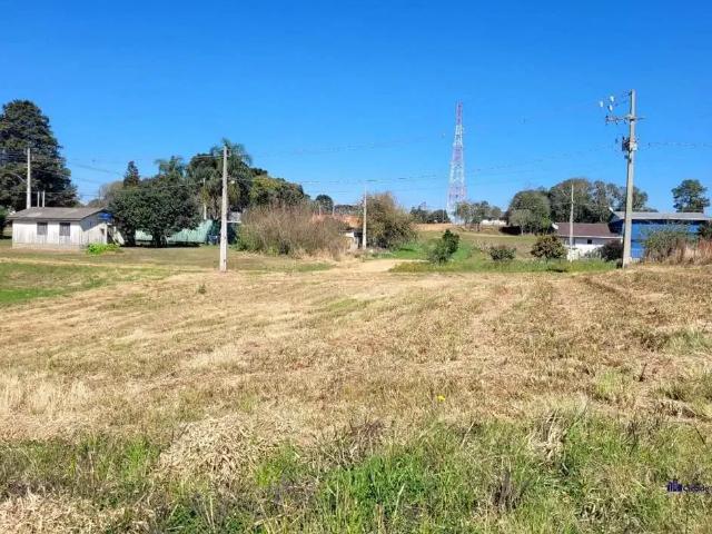 Terreno / Lote para Venda em Palmeira/PR Colonia Witmarsum