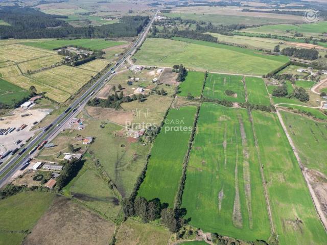 Terreno / Lote para Venda em Palmeira/PR Colonia Witmarsum