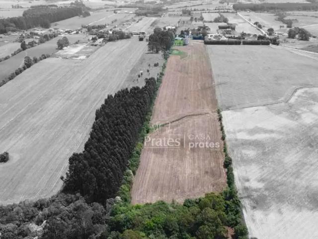 Terreno / Lote para Venda em Palmeira/PR Colonia Witmarsum