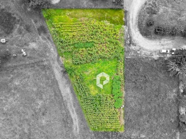 Terreno / Lote para Venda em Palmeira/PR Colonia Witmarsum