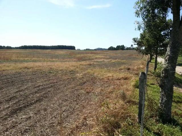 Terreno / Lote para Venda em Palmeira/PR Colonia Witmarsum