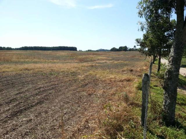 Terreno / Lote para Venda em Palmeira/PR Colonia Witmarsum