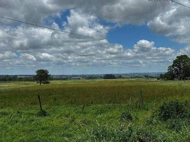 Terreno / Lote para Venda em Palmeira/PR Zona Rural