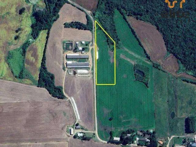 Terreno / Lote para Venda em Palmeira/PR Zona Rural