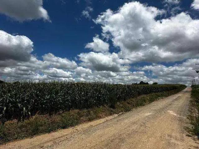 Terreno / Lote para Venda em Palmeira/PR Zona Rural
