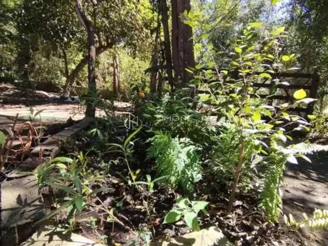 Terreno / Lote para Venda em Palmeiras/BA Zona Rural
