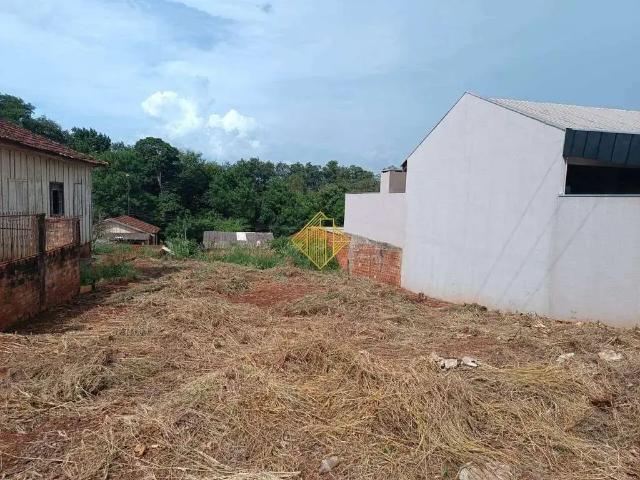 Terreno / Lote para Venda em Palotina/PR Osvaldo Cruz