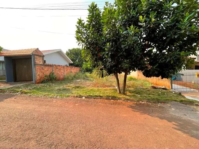 Terreno / Lote para Venda em Palotina/PR Centro