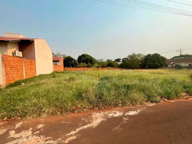 Terreno / Lote para Venda em Palotina/PR Centro