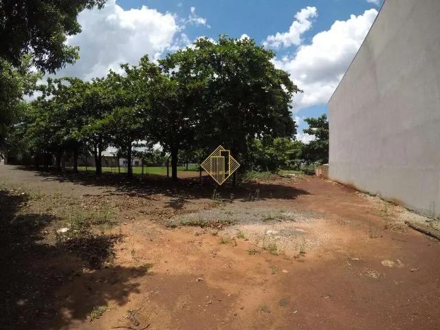 Terreno / Lote para Venda em Palotina/PR Centro