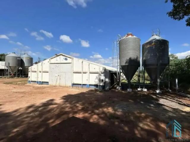 Terreno / Lote para Venda em Palotina/PR Centro
