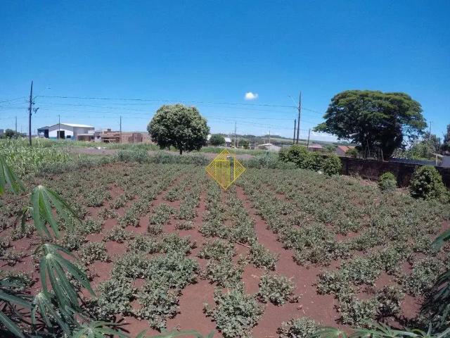 Terreno / Lote para Venda em Palotina/PR Dallas