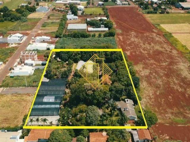 Terreno / Lote para Venda em Palotina/PR Parque Industrial