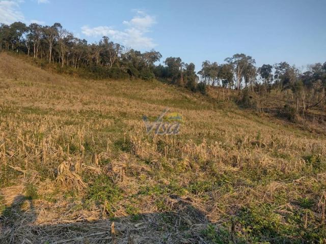 Terreno / Lote para Venda em Papanduva/SC Centro