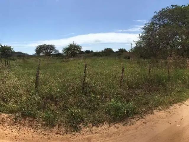 Terreno / Lote para Venda em Paracuru/CE Maleitas