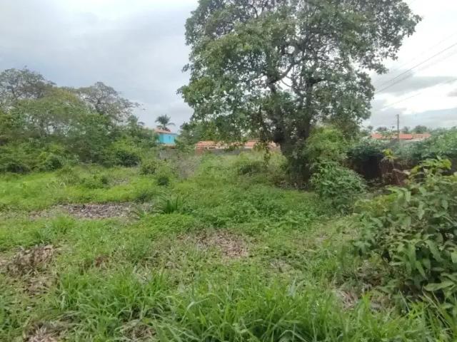 Terreno / Lote para Venda em Paracuru/CE Centro