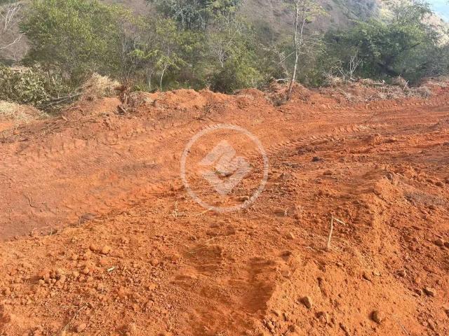 Terreno / Lote para Venda em Paraíba do Sul/RJ Centro