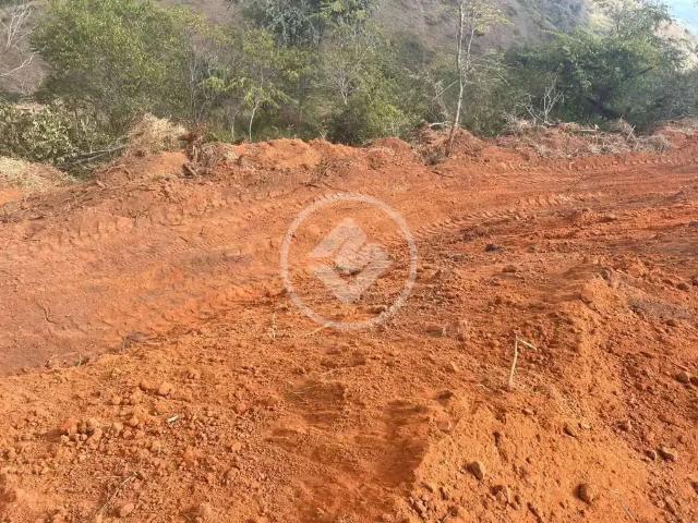 Terreno / Lote para Venda em Paraíba do Sul/RJ Centro