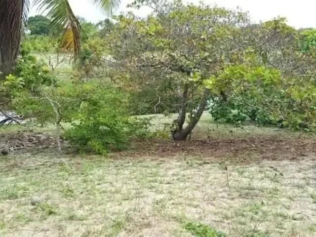 Terreno / Lote para Venda em Paraipaba/CE Boa Vista