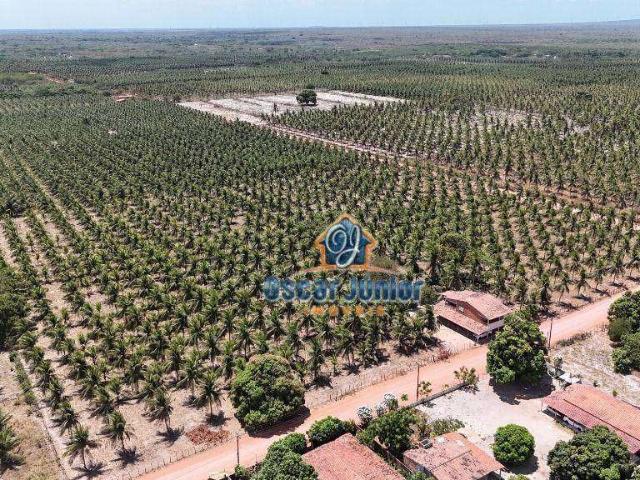 Terreno / Lote para Venda em Paraipaba/CE Lagoinha
