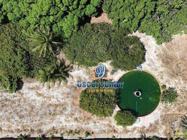 Terreno / Lote para Venda em Paraipaba/CE Lagoinha