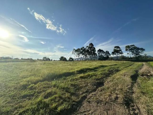 Terreno / Lote para Venda em Paraíso do Sul/RS Centro