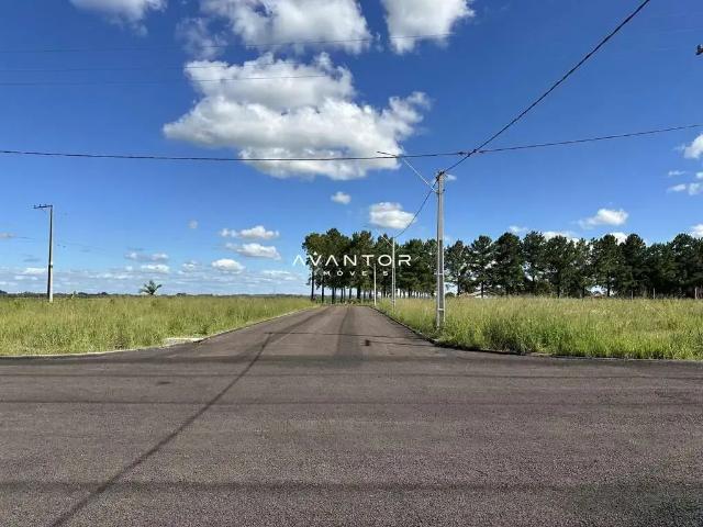 Terreno / Lote para Venda em Paraíso do Sul/RS Centro