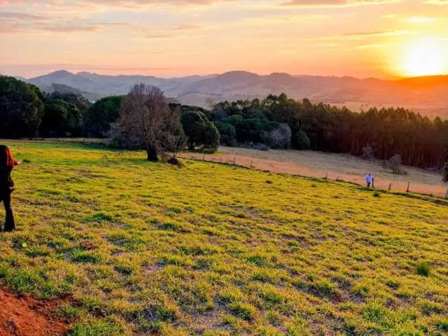 Terreno / Lote para Venda em Paraisópolis/MG Zona Rural