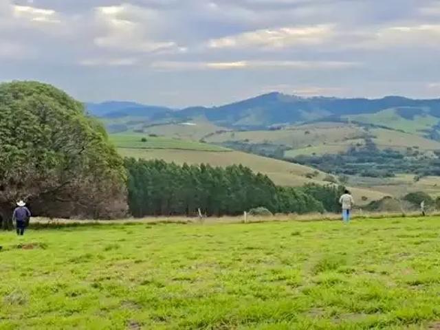 Terreno / Lote para Venda em Paraisópolis/MG Zona Rural