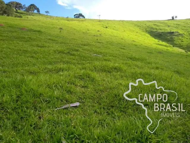 Terreno / Lote para Venda em Paraisópolis/MG Zona Rural