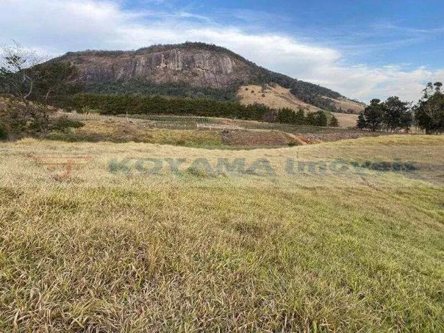 Terreno / Lote para Venda em Paraisópolis/MG Zona Rural