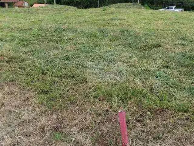 Terreno / Lote para Venda em Paraisópolis/MG Zona Rural