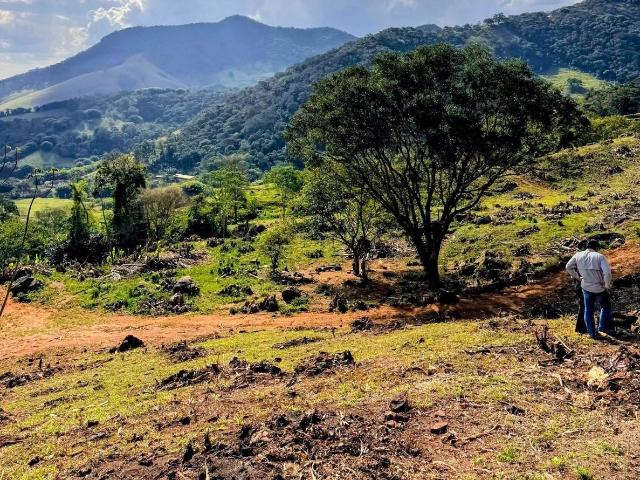 Terreno / Lote para Venda em Paraisópolis/MG Zona Rural
