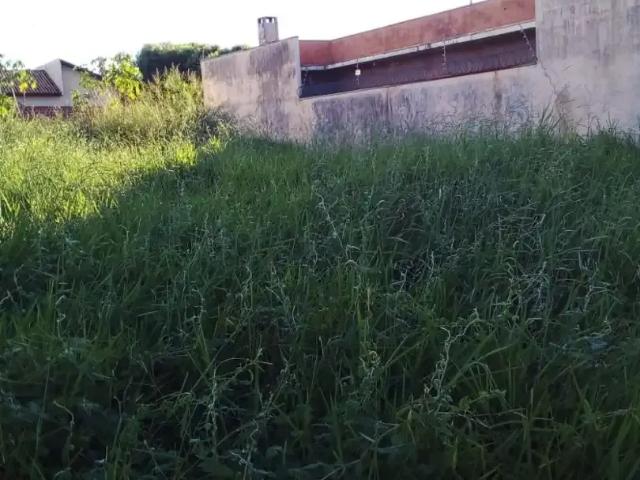 Terreno / Lote para Venda em Paranacity/PR Jardim Licce