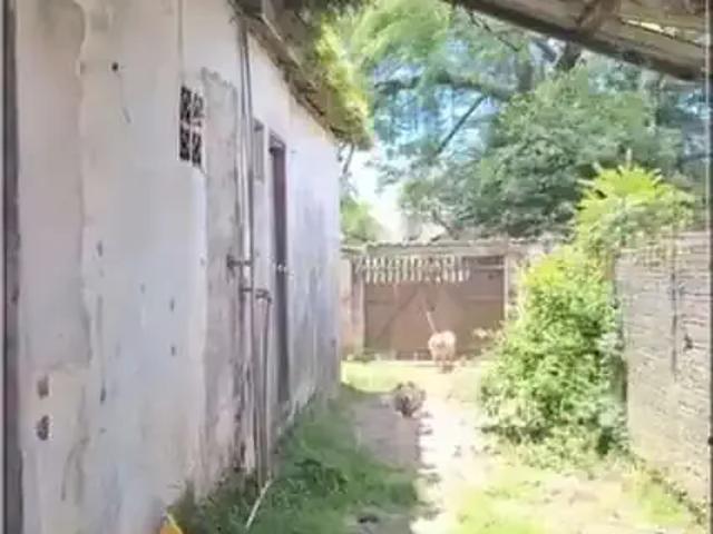 Terreno / Lote para Venda em Paranaguá/PR Vila Paranaguá