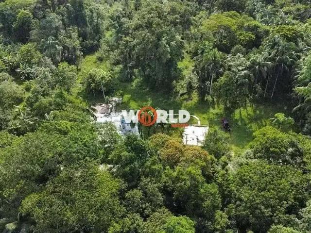 Terreno / Lote para Venda em Paranaguá/PR Alexandra